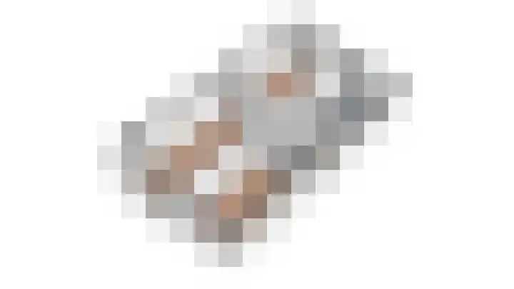 Zilverschoonlaan 27 Beilen thumbnail 55