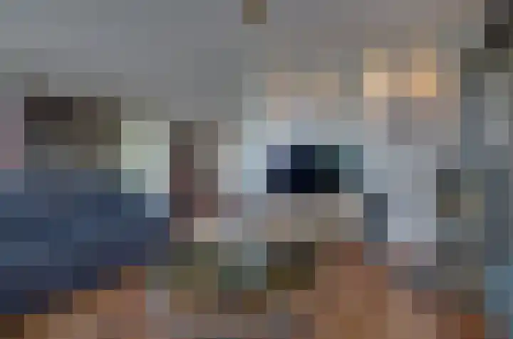 Zilverschoonlaan 27 Beilen thumbnail 8