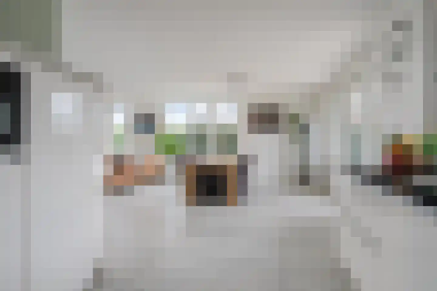 Zilverschoonlaan 30 Lelystad thumbnail 13