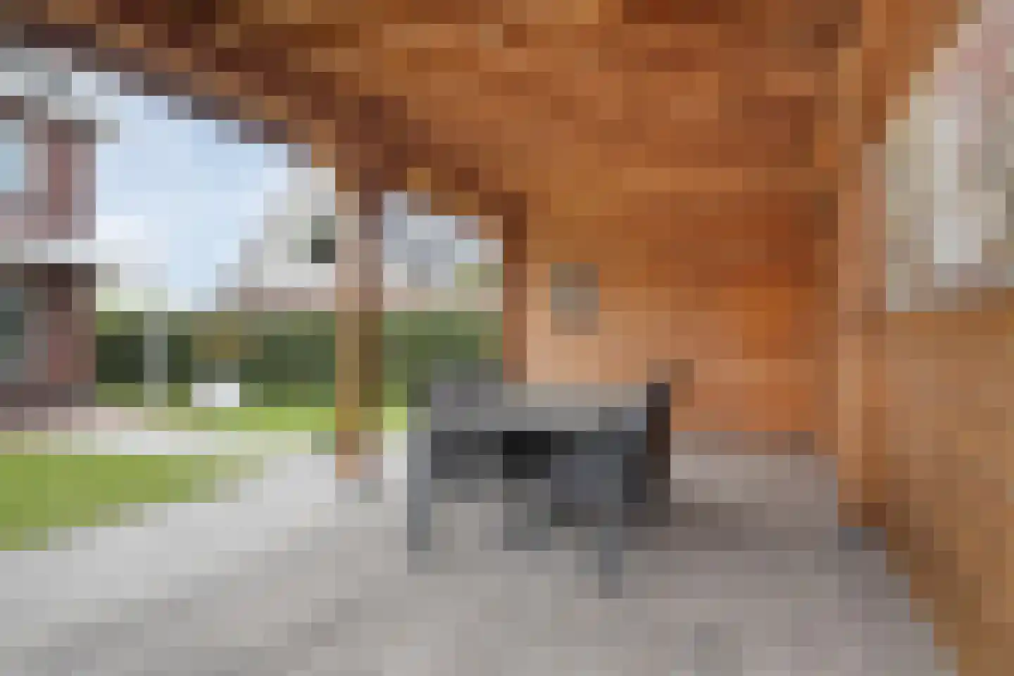 Zilverschoonlaan 30 Lelystad thumbnail 36