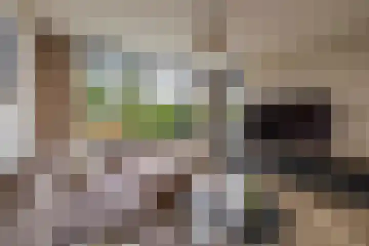 Zilverschoonlaan 36 Krommenie thumbnail 13