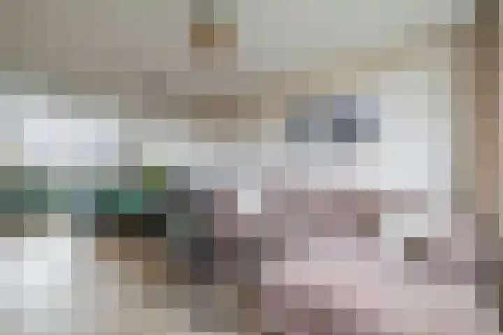 Zilverschoonlaan 36 Krommenie thumbnail 15