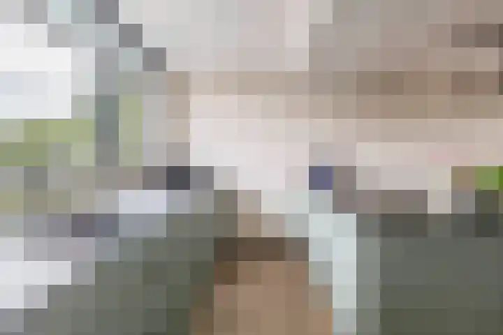 Zilverschoonlaan 36 Krommenie thumbnail 17