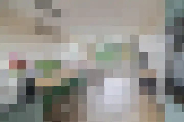 Zilverschoonlaan 36 Krommenie thumbnail 18