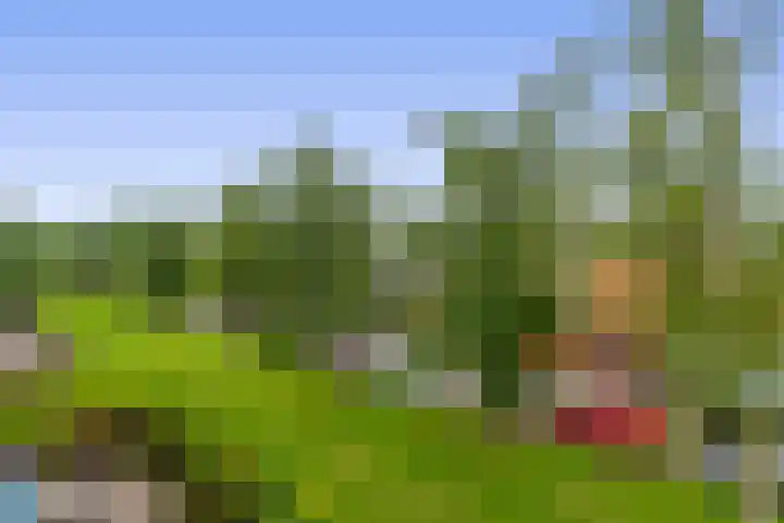 Zilverschoonlaan 36 Krommenie thumbnail 27