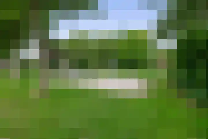 Zilverschoonlaan 36 Krommenie thumbnail 29
