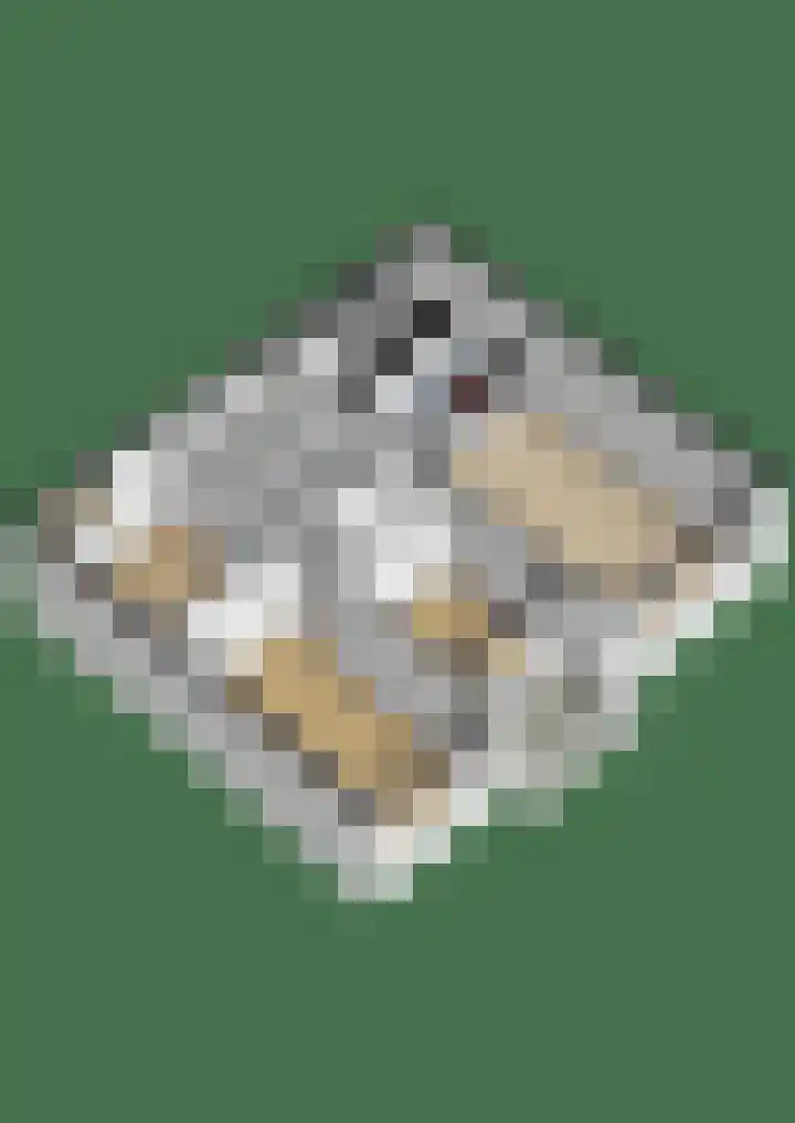 Zilverschoonlaan 36 Krommenie thumbnail 33