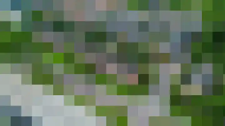 Zilverschoonlaan 36 Krommenie thumbnail 6