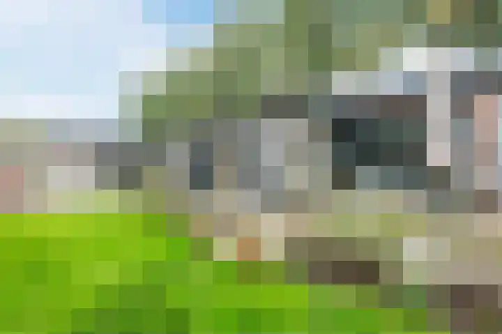 Zilverschoonlaan 40 Lelystad thumbnail 37