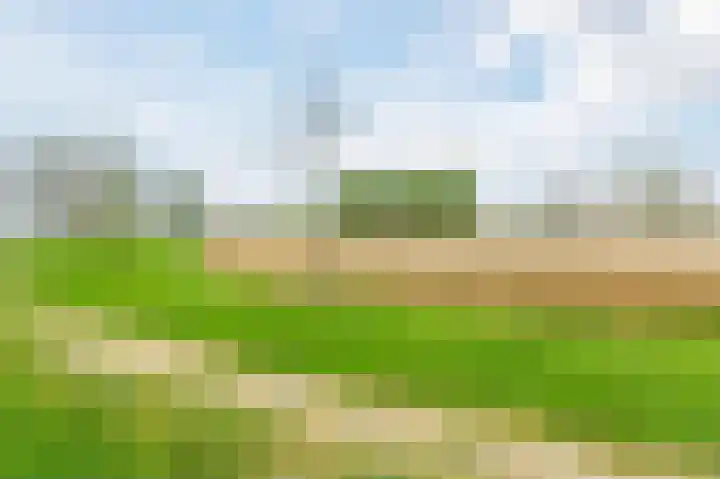 Zilverschoonlaan 40 Lelystad thumbnail 42