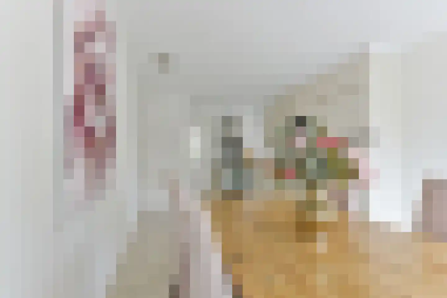 Zilverschoonlaan 44 Vleuten thumbnail 12