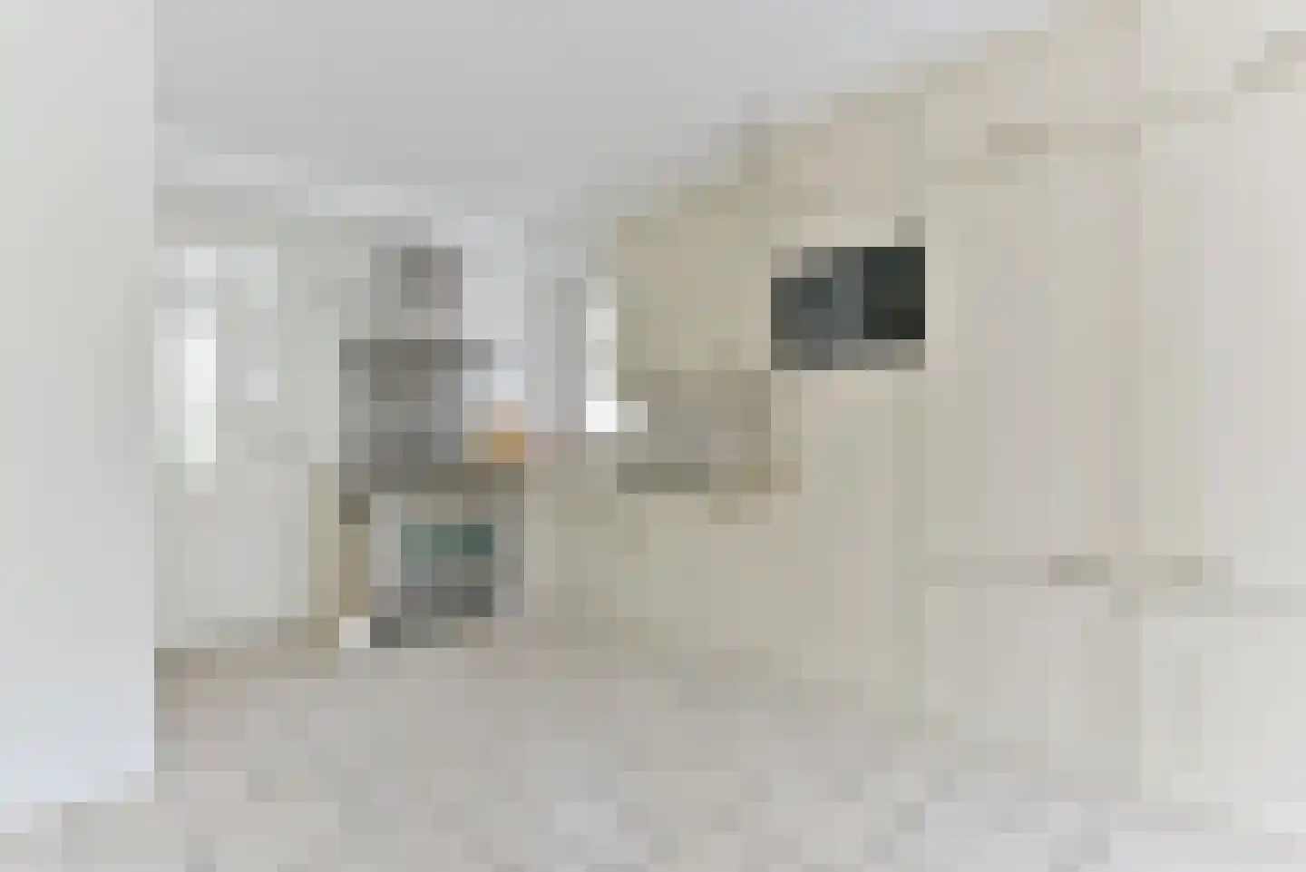 Zilverschoonlaan 44 Vleuten thumbnail 14
