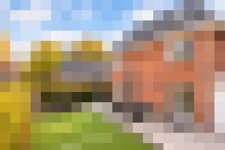 Zilverschoonlaan 44 Vleuten thumbnail 19