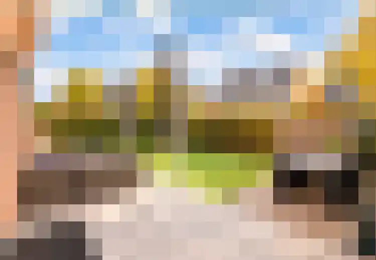 Zilverschoonlaan 44 Vleuten thumbnail 20