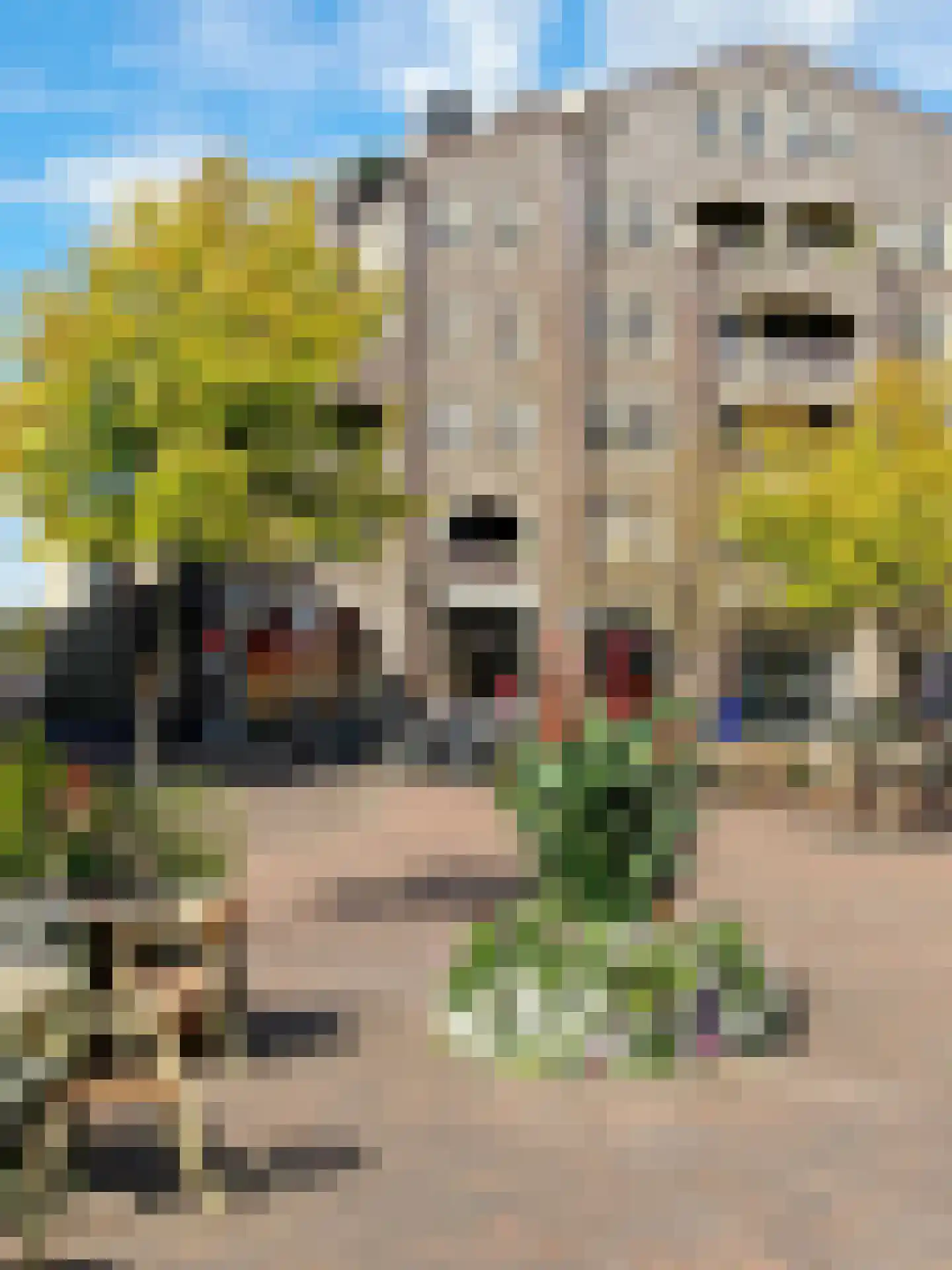 Zilverschoonlaan 44 Vleuten thumbnail 48