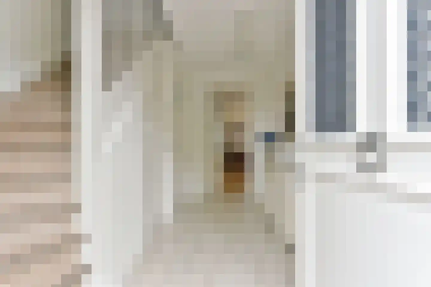 Zilverschoonlaan 44 Vleuten thumbnail 5