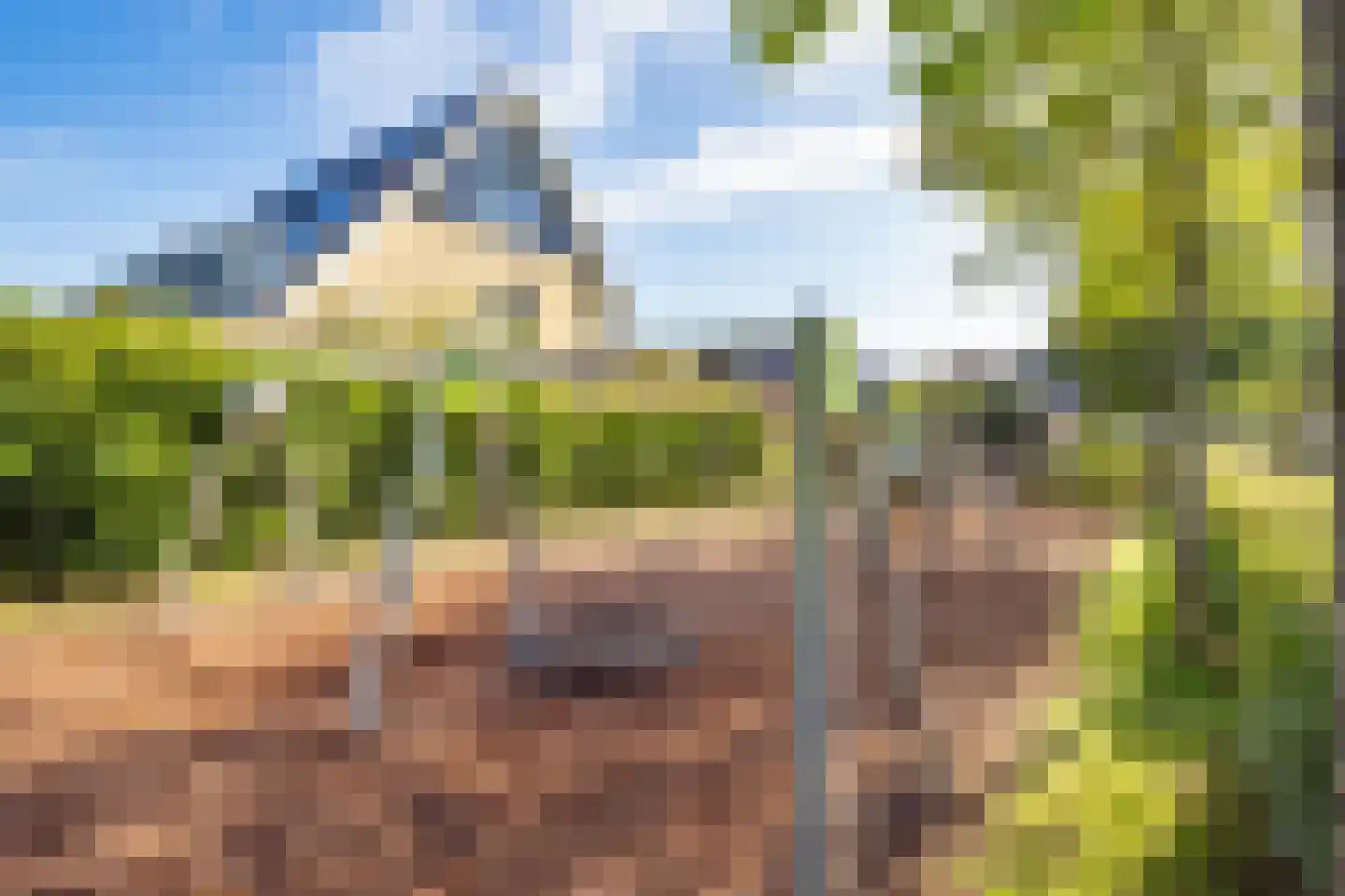 Zilverschoonlaan 59 Vleuten thumbnail 69