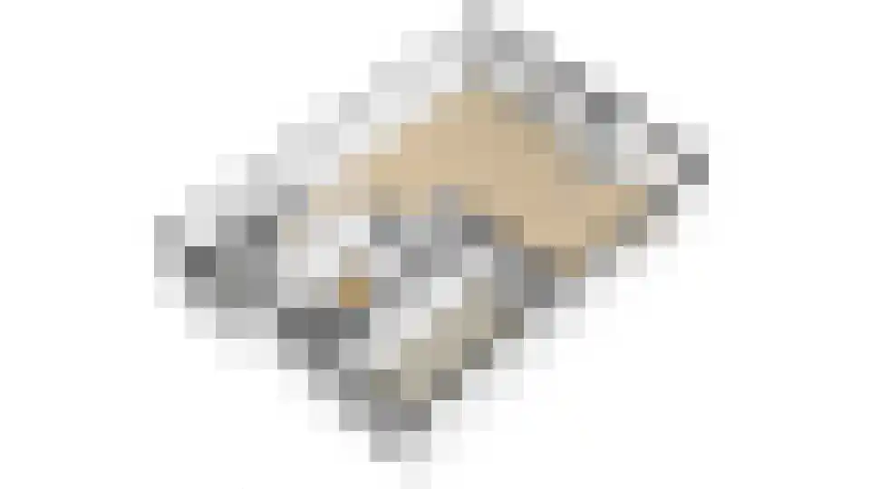 Zilverschoonlaan 59 Vleuten thumbnail 78
