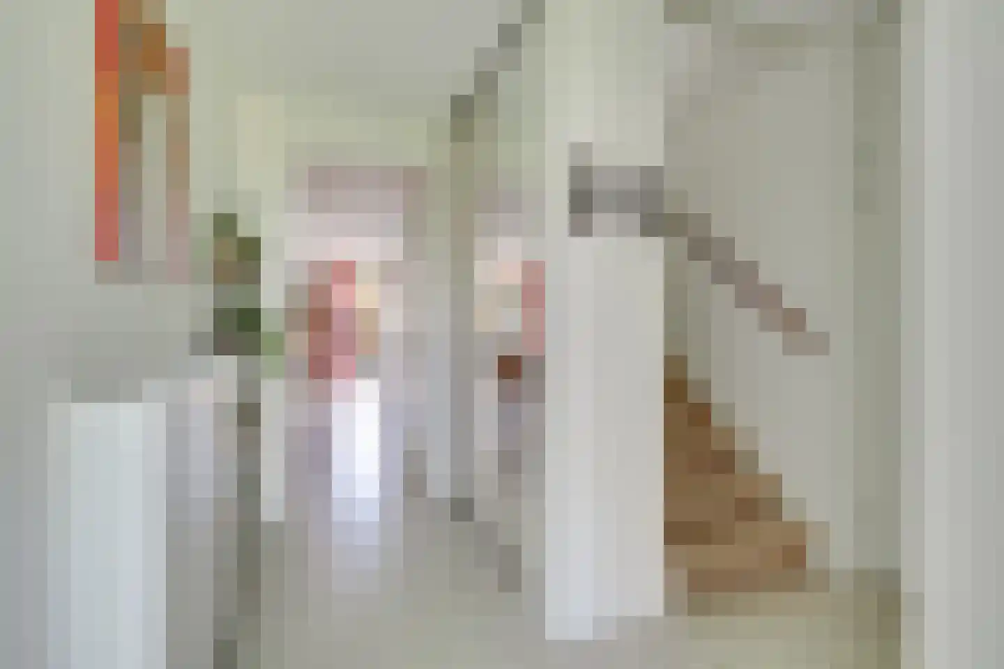 Zilverschoonlaan 59 Vleuten thumbnail 9