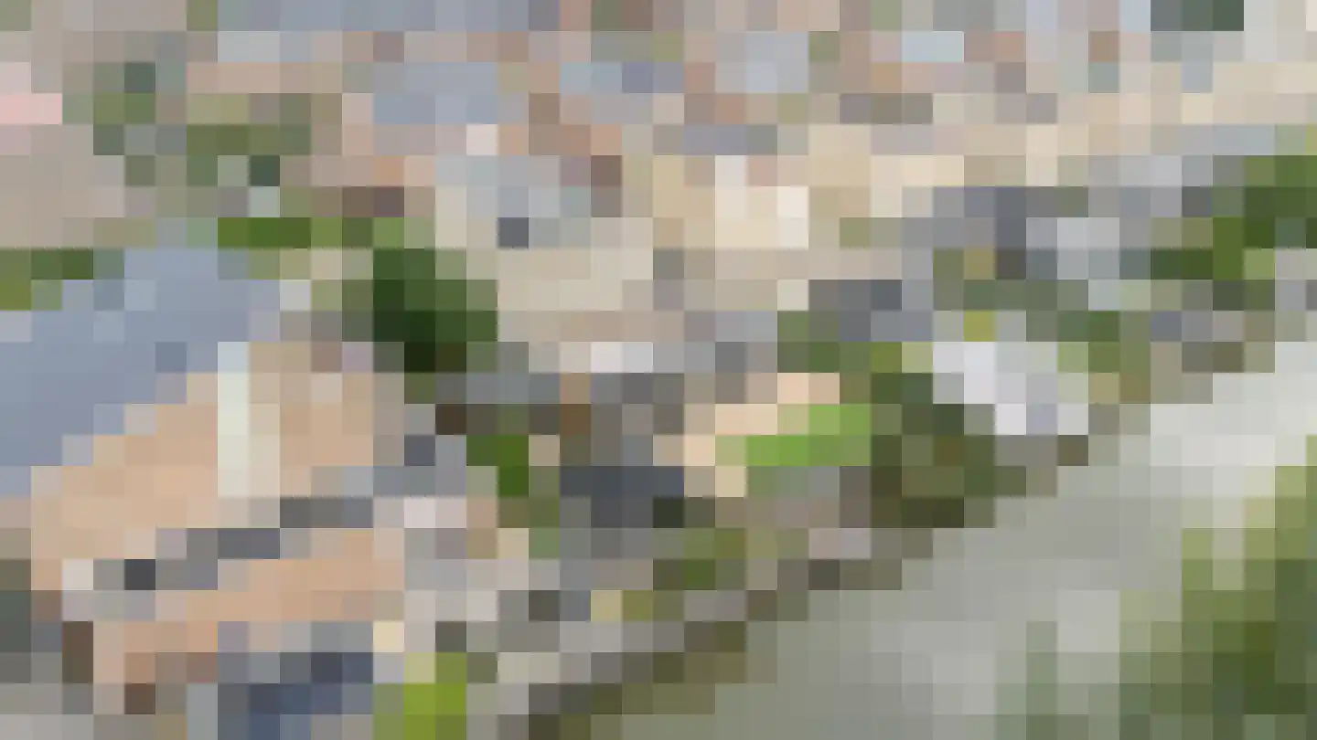Zilverschoonlaan 63 Vleuten thumbnail 10
