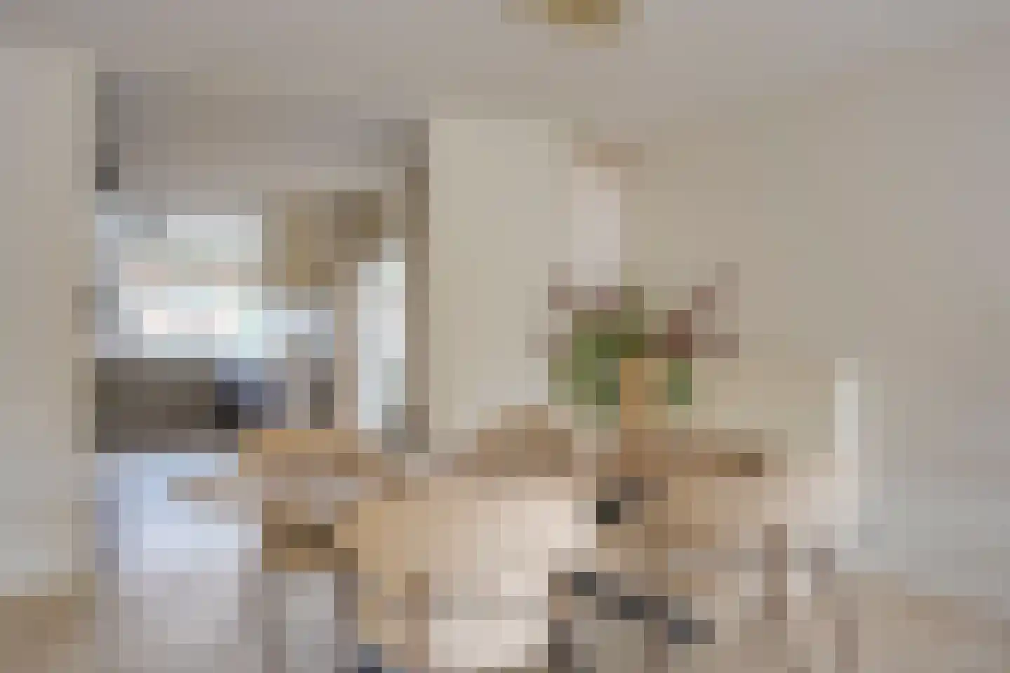 Zilverschoonlaan 63 Vleuten thumbnail 28