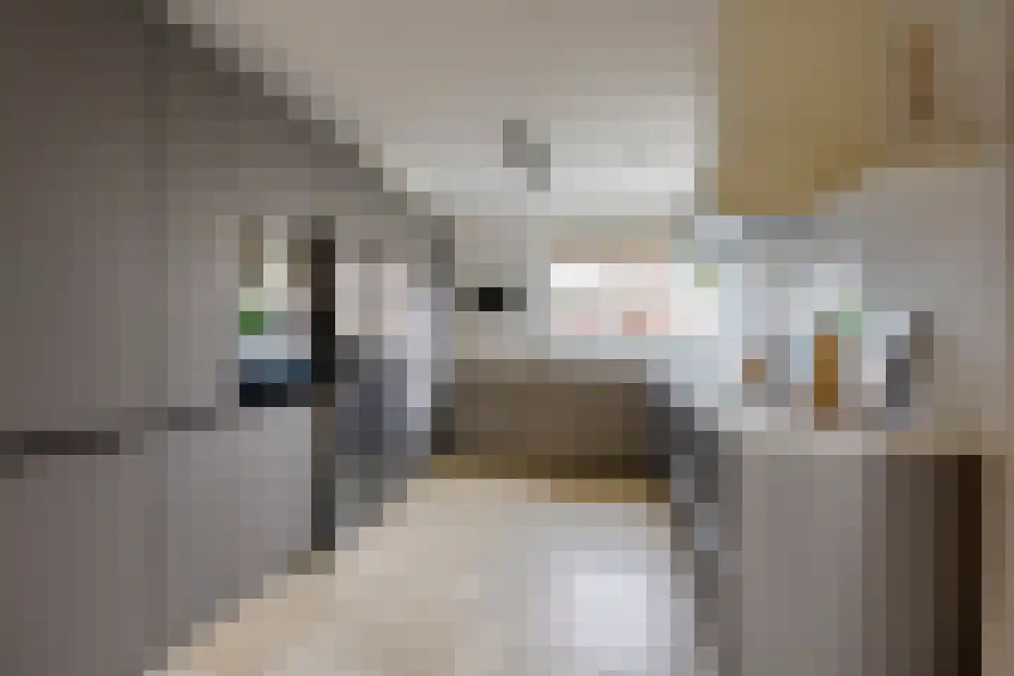 Zilverschoonlaan 63 Vleuten thumbnail 30