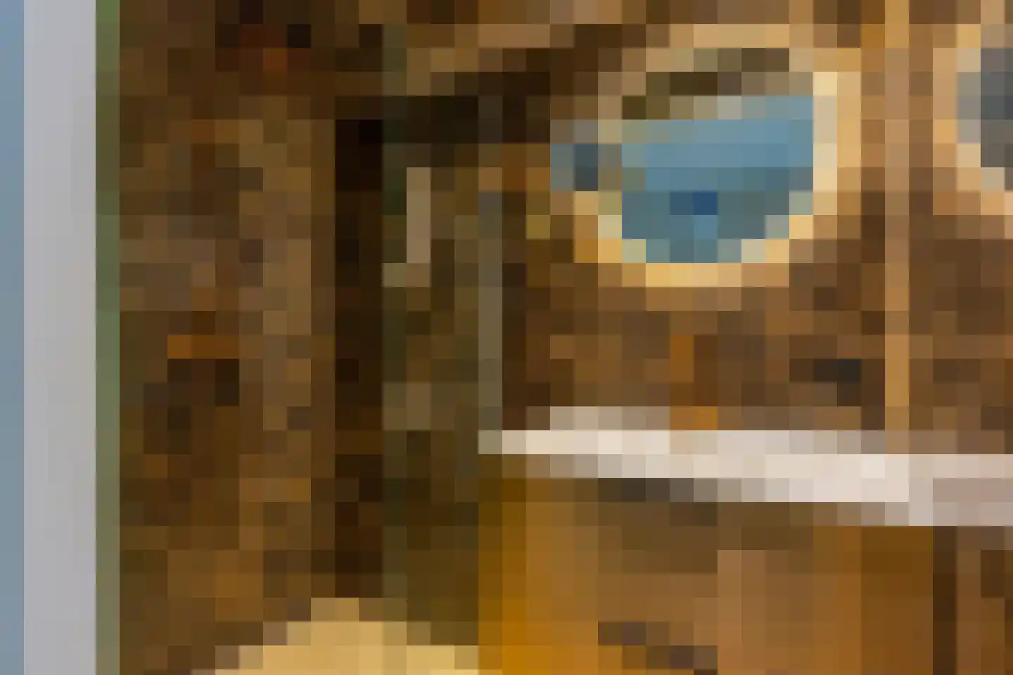 Zilverschoonlaan 63 Vleuten thumbnail 47