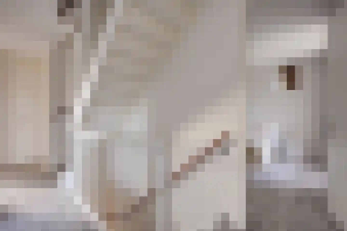 Zilverschoonlaan 63 Vleuten thumbnail 50