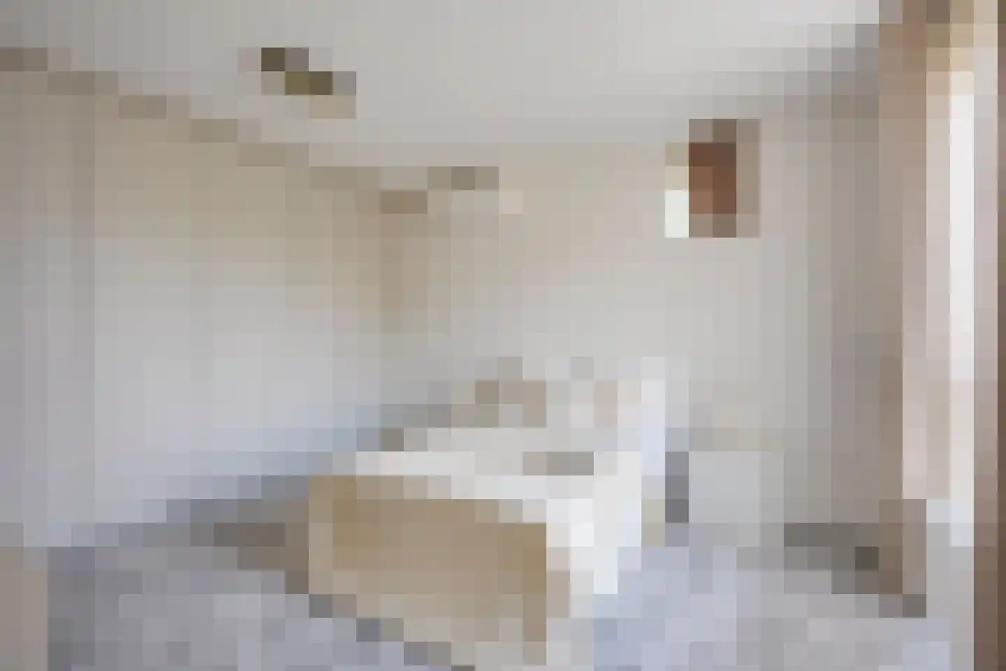 Zilverschoonlaan 63 Vleuten thumbnail 51