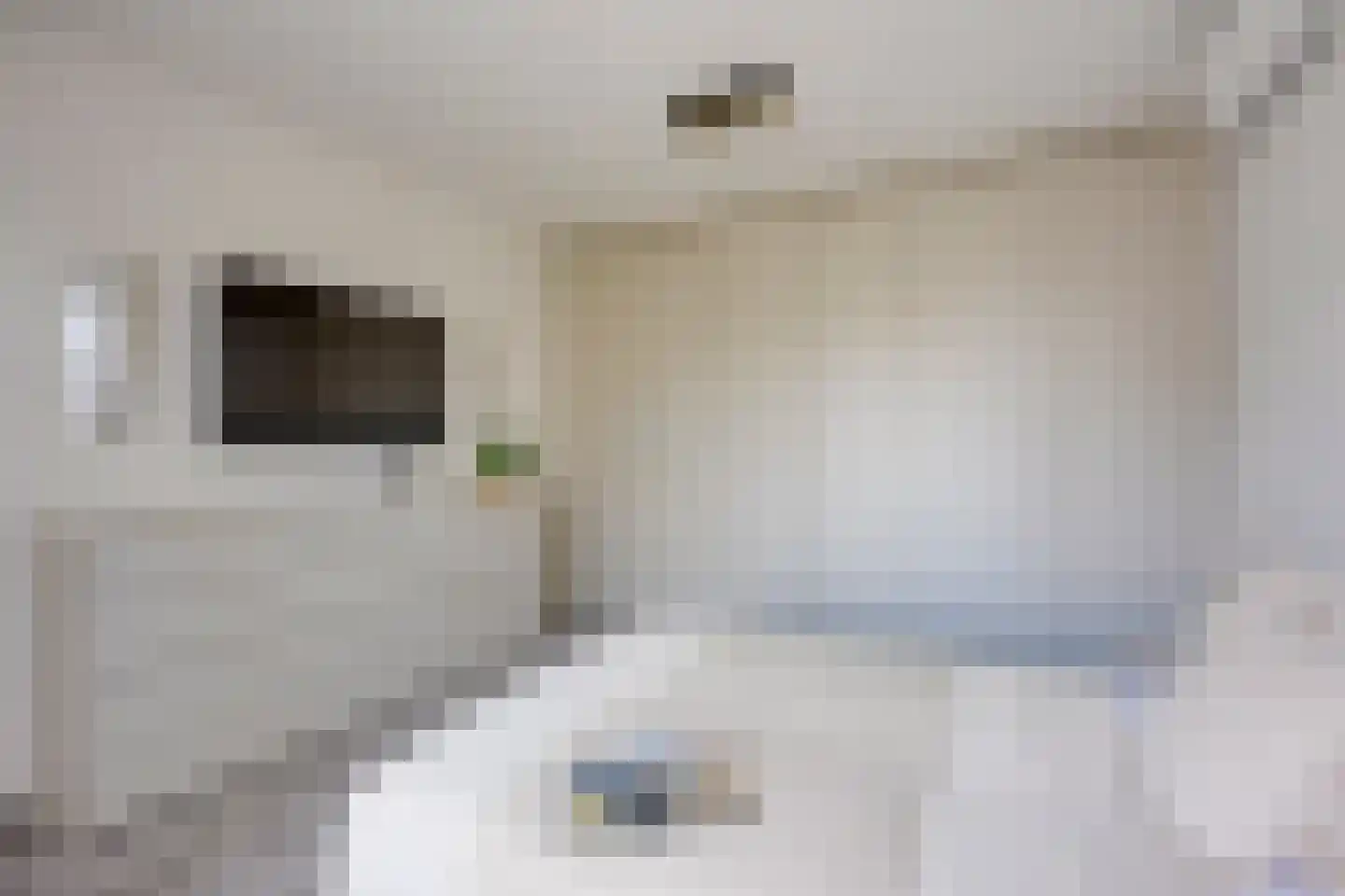 Zilverschoonlaan 63 Vleuten thumbnail 52