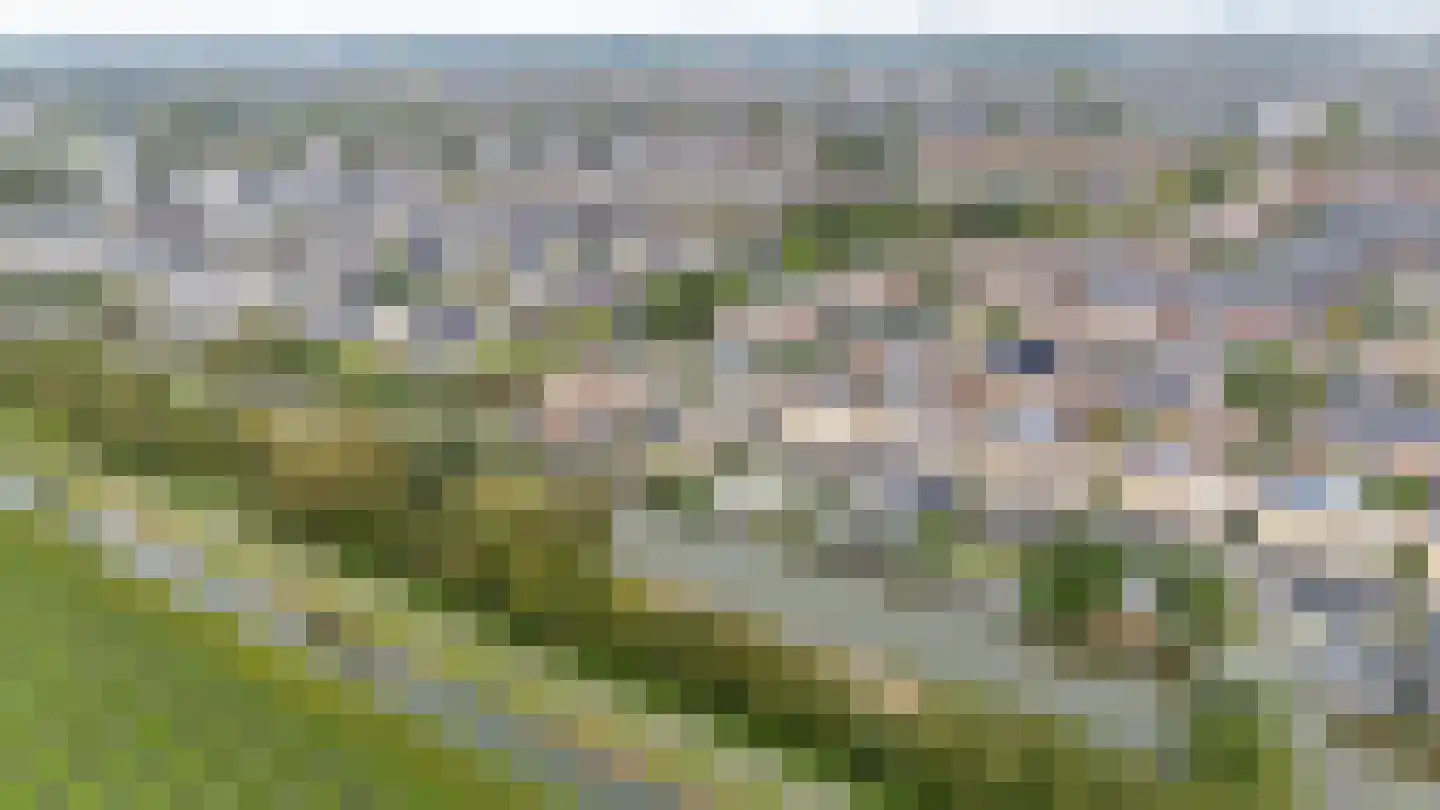 Zilverschoonlaan 63 Vleuten thumbnail 73