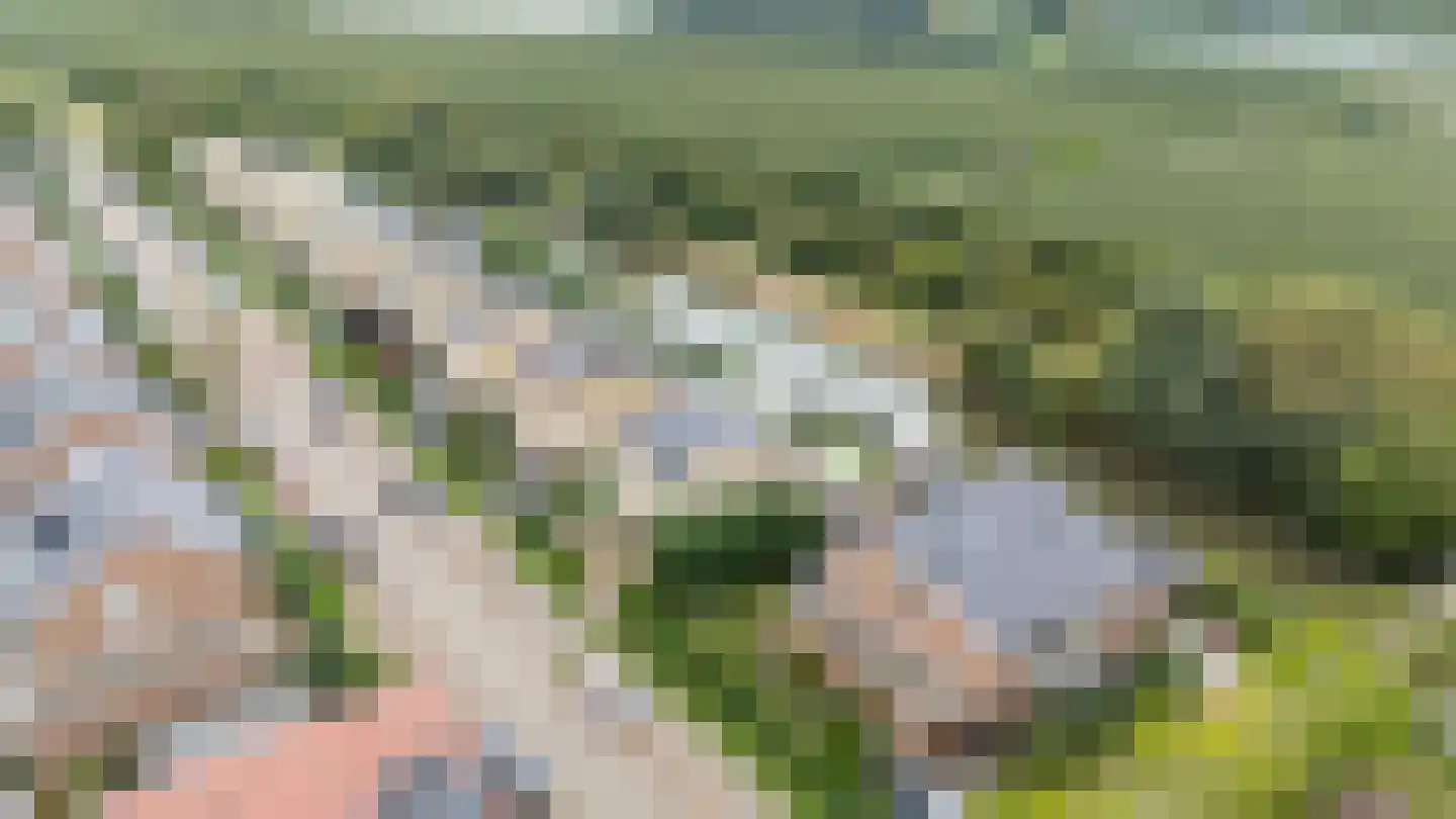 Zilverschoonlaan 63 Vleuten thumbnail 9