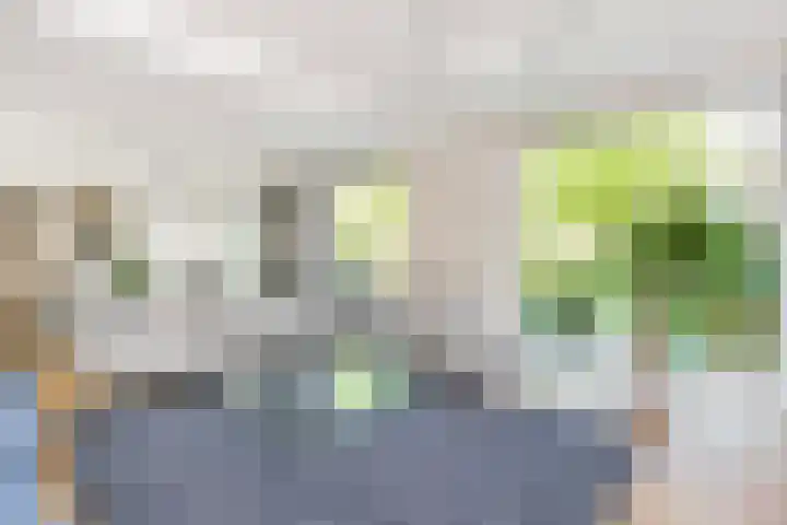 Zilverschoonlaan 71 Vleuten thumbnail 10