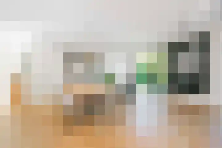 Zilverschoonlaan 71 Vleuten thumbnail 12