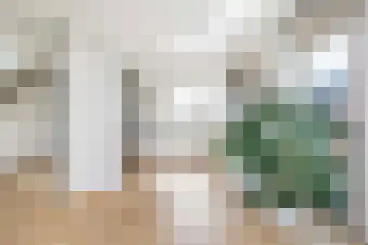 Zilverschoonlaan 71 Vleuten thumbnail 14