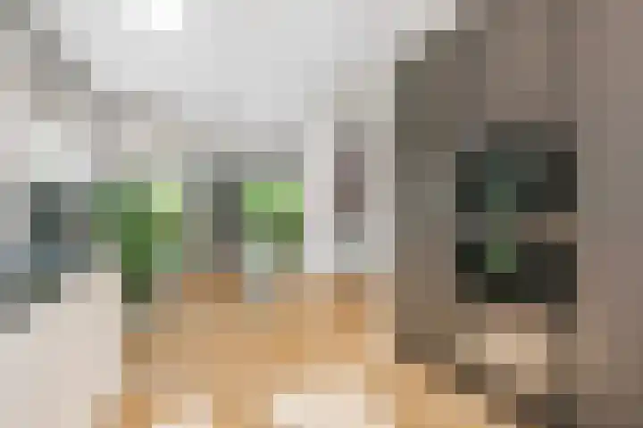 Zilverschoonlaan 71 Vleuten thumbnail 16