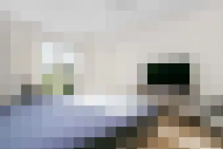 Zilverschoonlaan 71 Vleuten thumbnail 20