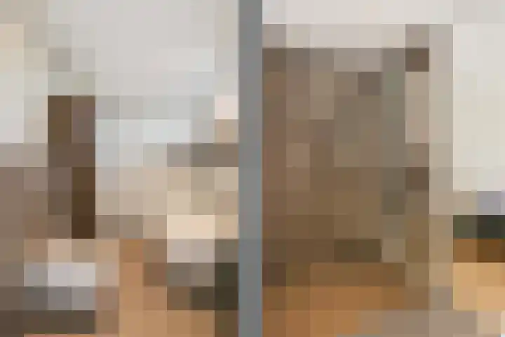 Zilverschoonlaan 71 Vleuten thumbnail 22