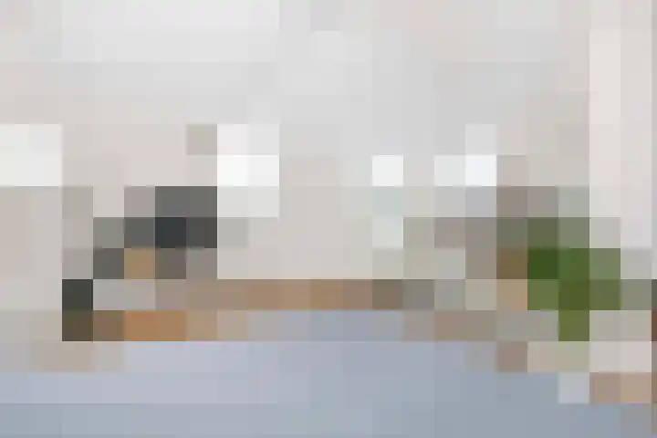 Zilverschoonlaan 71 Vleuten thumbnail 29