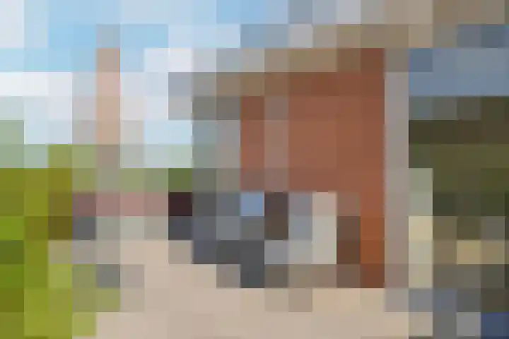 Zilverschoonlaan 71 Vleuten thumbnail 31