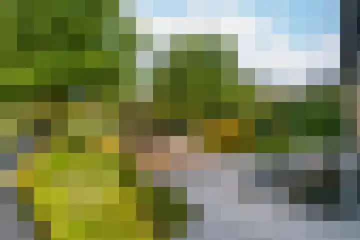 Zilverschoonlaan 71 Vleuten thumbnail 34