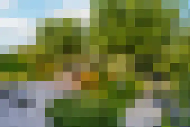Zilverschoonlaan 71 Vleuten thumbnail 35