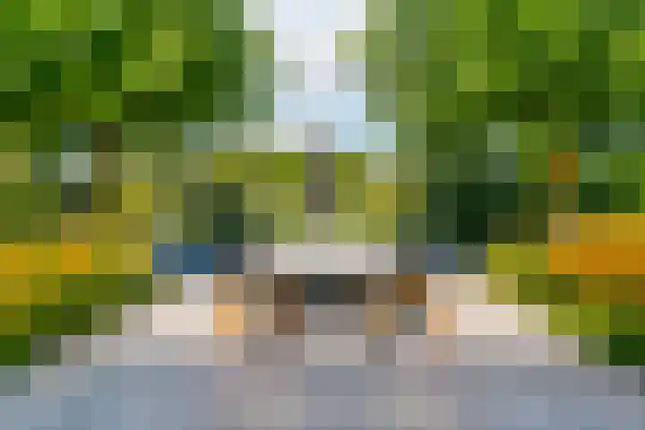 Zilverschoonlaan 71 Vleuten thumbnail 36