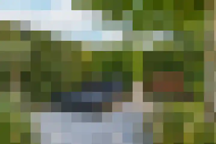 Zilverschoonlaan 71 Vleuten thumbnail 37