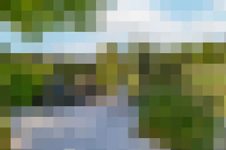 Zilverschoonlaan 71 Vleuten thumbnail 38