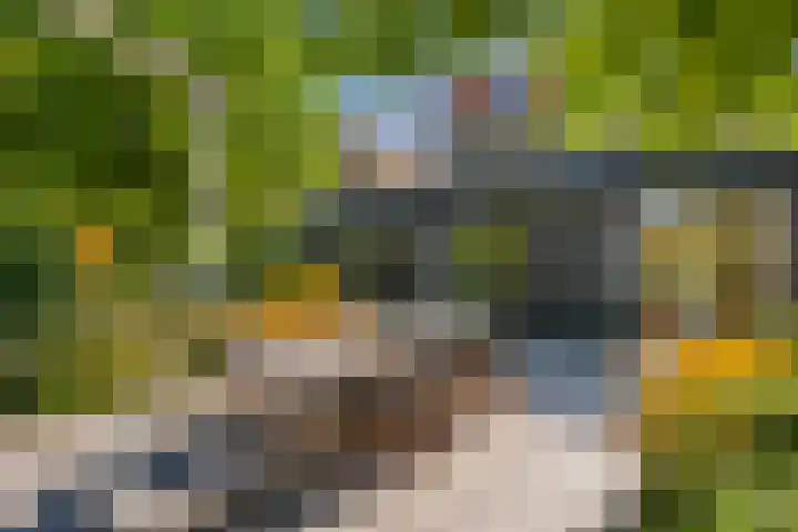 Zilverschoonlaan 71 Vleuten thumbnail 39