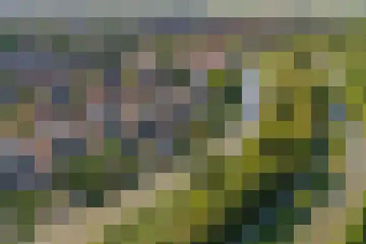 Zilverschoonlaan 71 Vleuten thumbnail 4