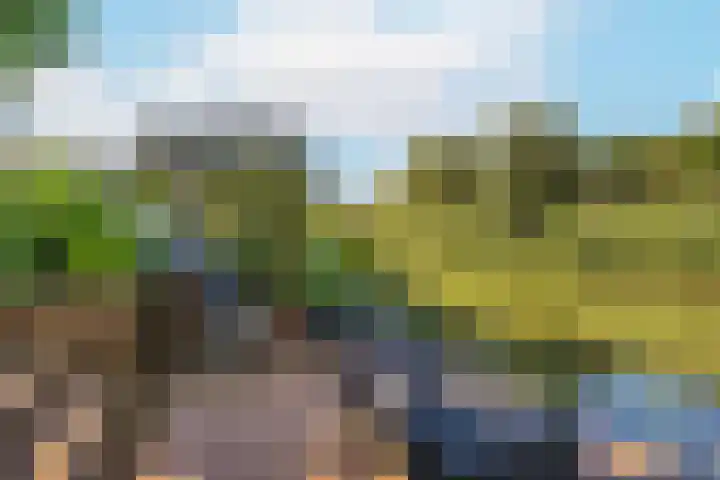 Zilverschoonlaan 71 Vleuten thumbnail 40