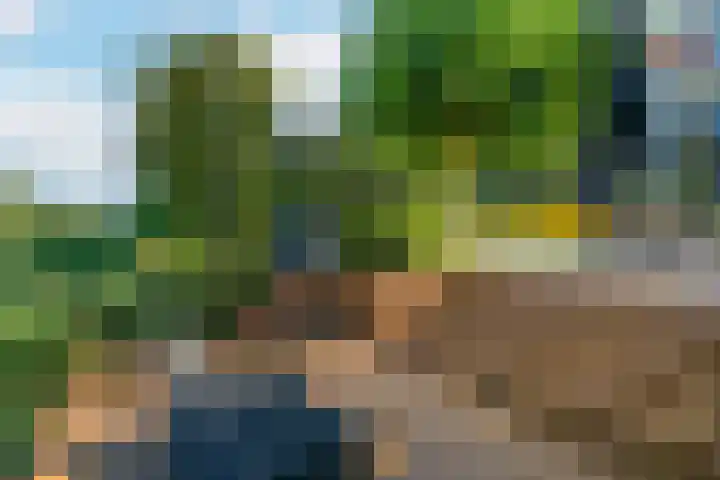 Zilverschoonlaan 71 Vleuten thumbnail 41