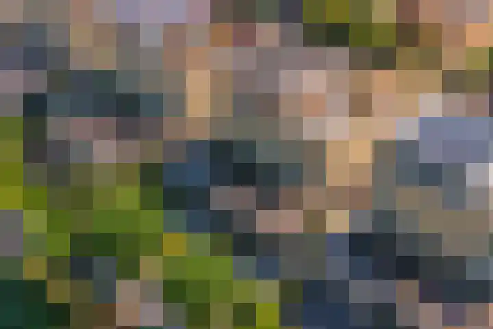 Zilverschoonlaan 71 Vleuten thumbnail 46